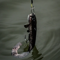 Fox Rage Ultra Natural Catfish Replicant Lures